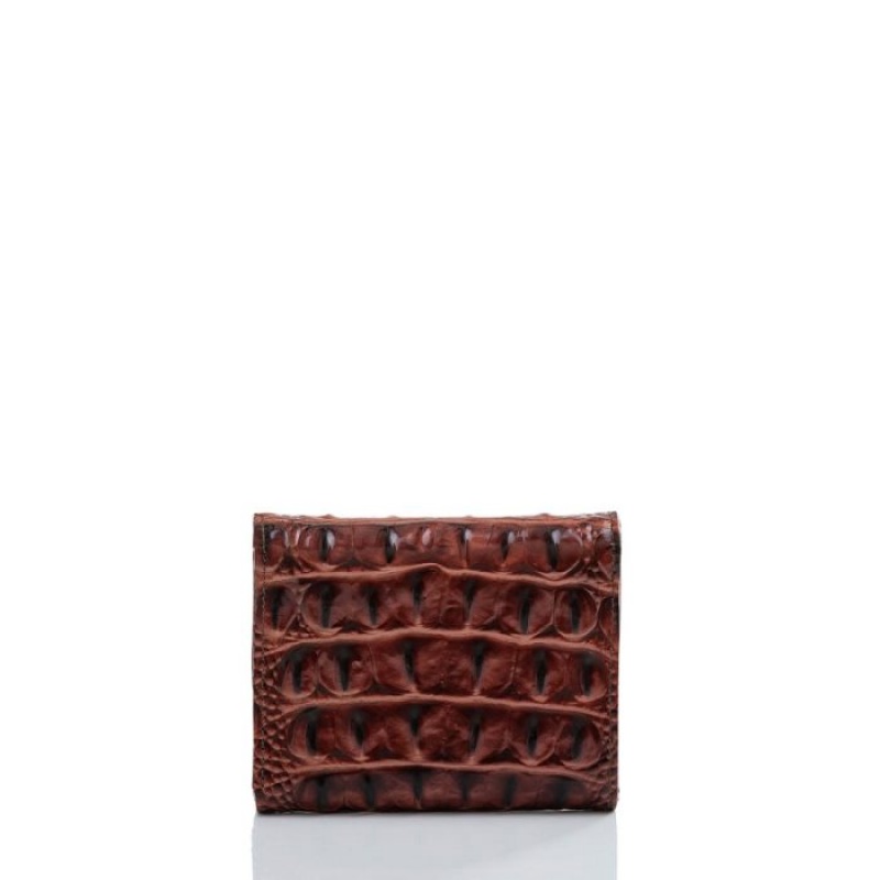 Women's Brahmin Small Veronica Wallets Pecan Melbourne | TWQR9075