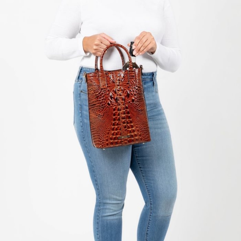 Women's Brahmin Sonoma Tote Bags Melbourne | WMHC0789