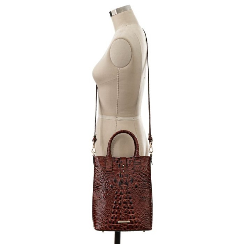 Women's Brahmin Sonoma Tote Bags Pecan Melbourne | XEEQ7075