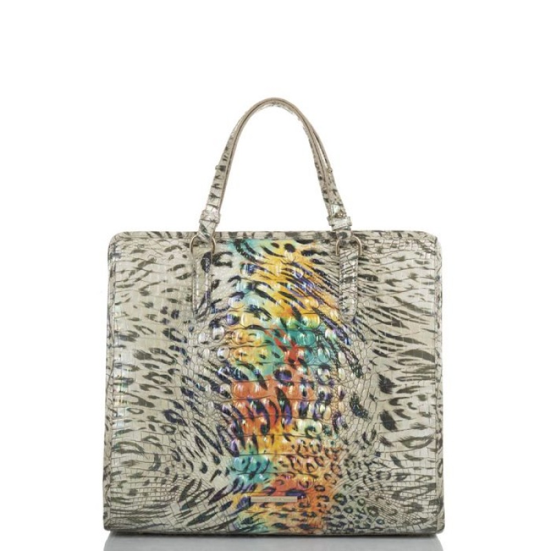 Women\'s Brahmin Tia Tote Bags Obsession Ombre Melbourne | ANZY4880