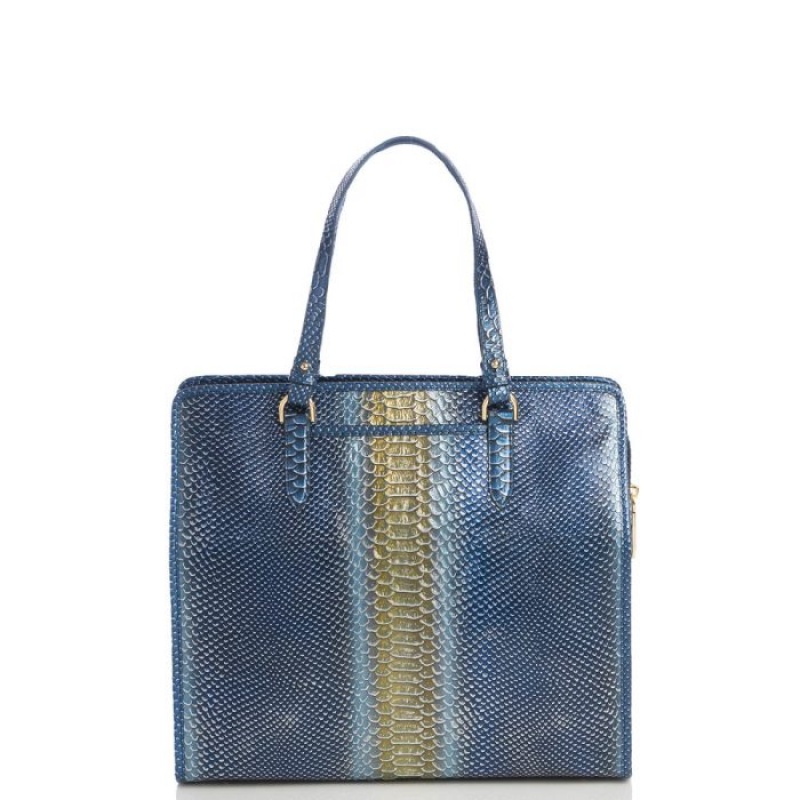 Women's Brahmin Tia Tote Bags Serenity Meridian | MGXR1126