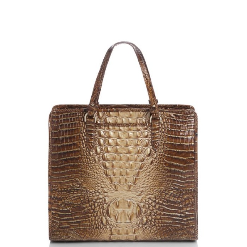 Women's Brahmin Tia Tote Bags Teak Ombre Melbourne | GYFJ0027