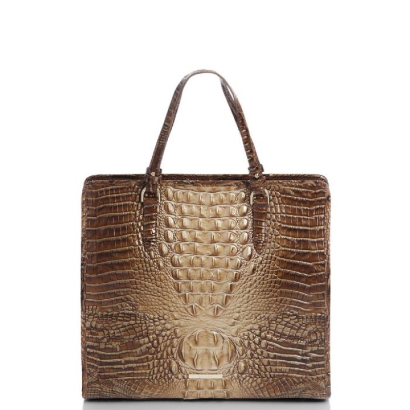 Women\'s Brahmin Tia Tote Bags Teak Ombre Melbourne | GYFJ0027