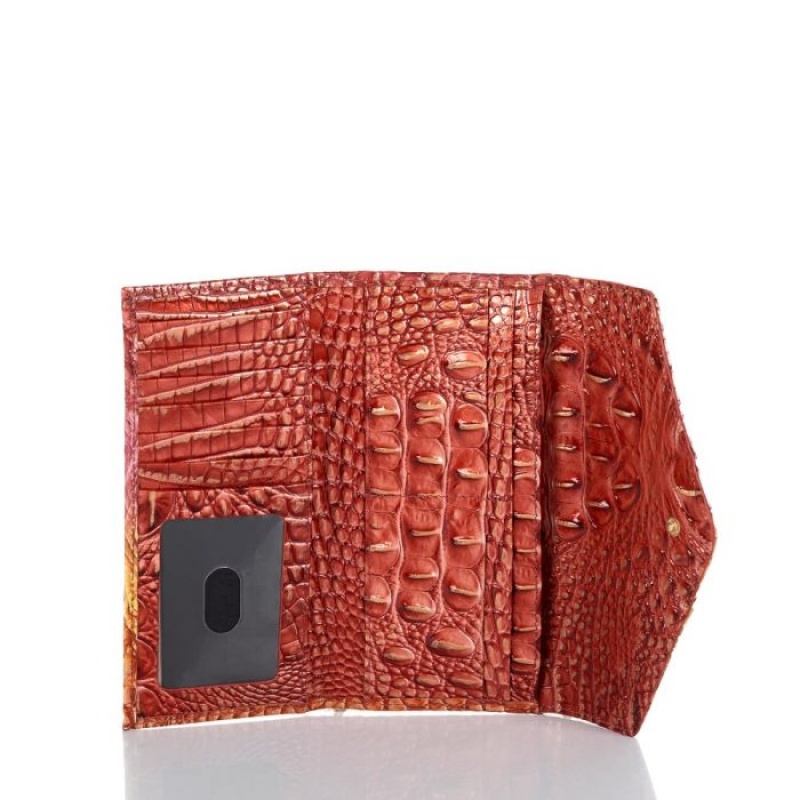 Women's Brahmin Veronica Wallets Glam Ombre Melbourne | KFHR4706